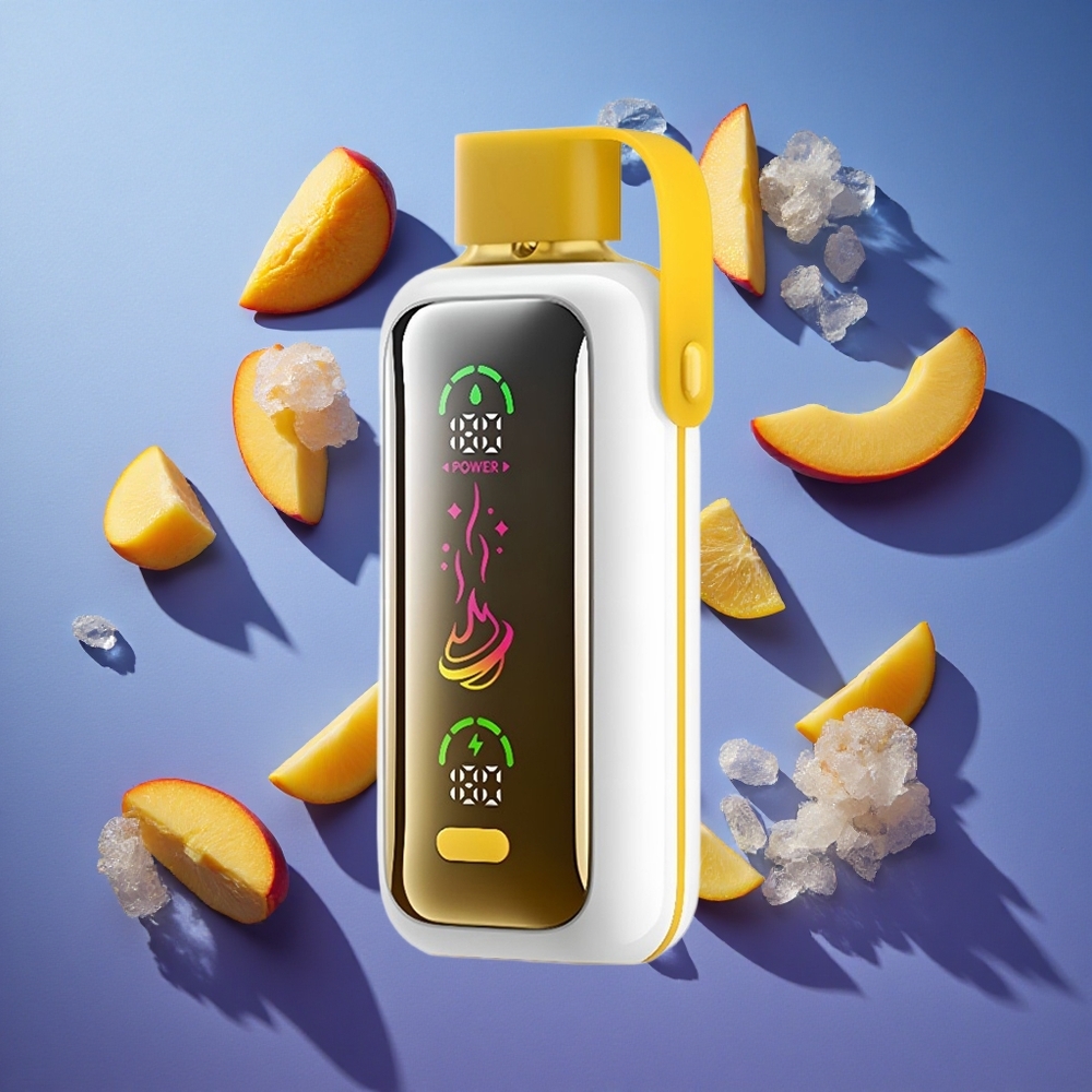 Mango Ghiaccio VOZOL Star 20000 Puffs Doppia Maglia 650mAh Italia vape