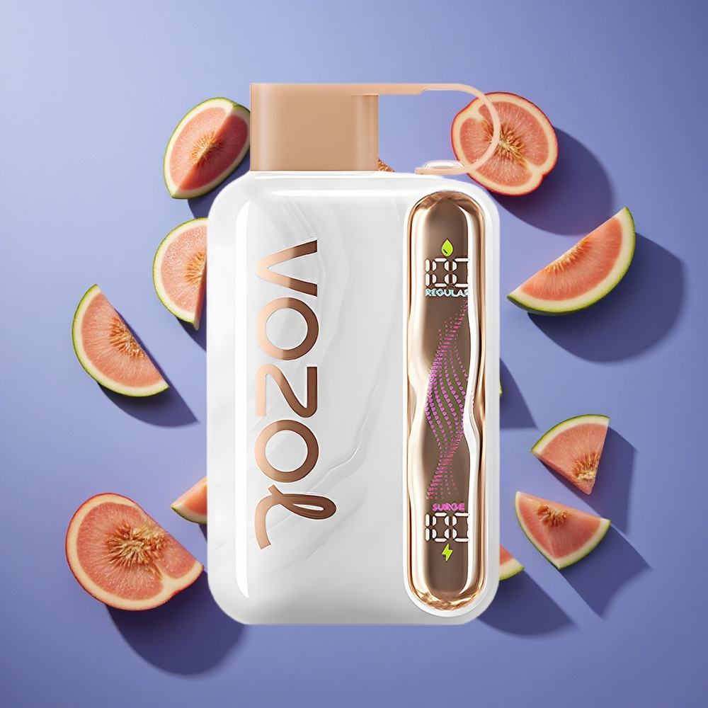 Fragola Melpesca VOZOL STAR 40000 Puffs Type-C Italia vape