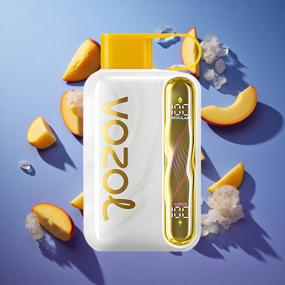 Mango Ghiaccio VOZOL STAR 40000 Puffs Tipo-C Italia vape