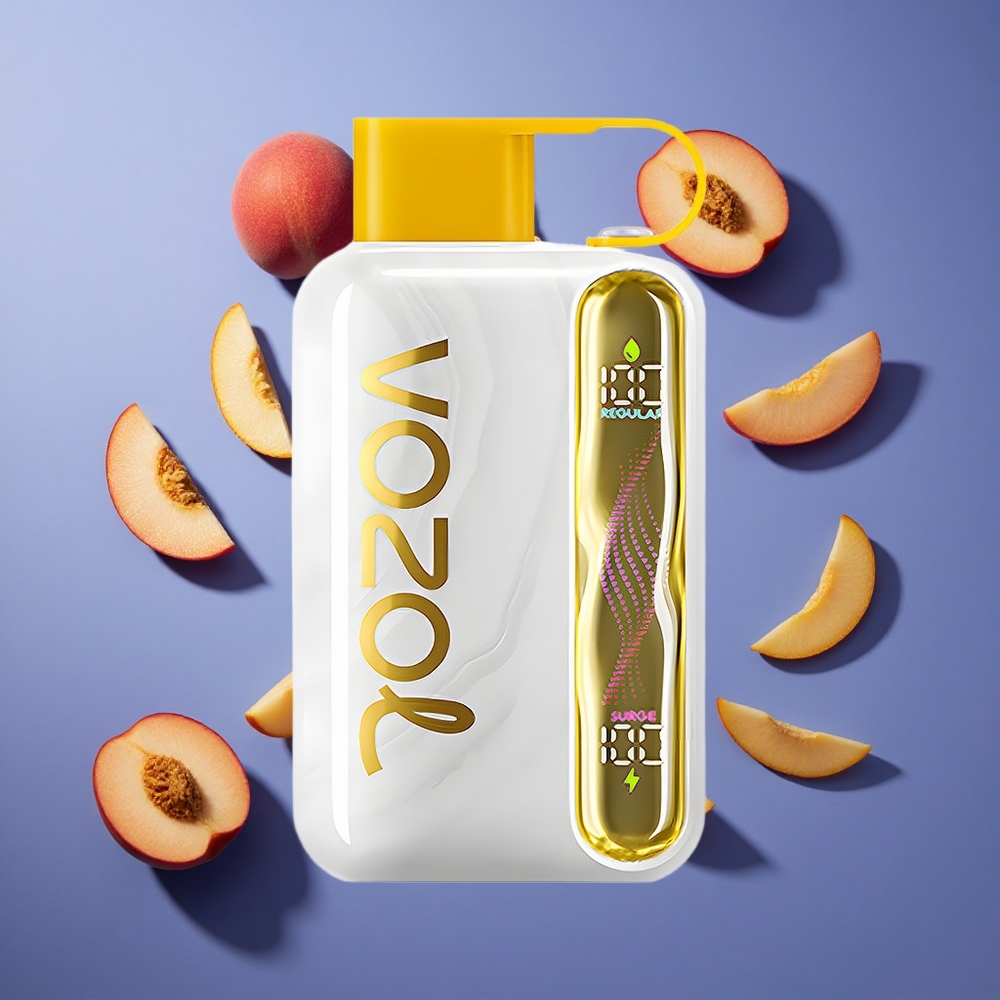 Mango Pesca VOZOL STAR 40000 Puffs Tipo-C Italia vape