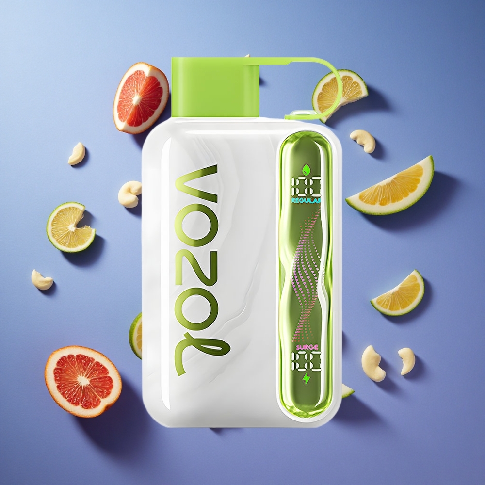 Menta Fresca VOZOL STAR 40000 Puffs Tipo-C Italia vape