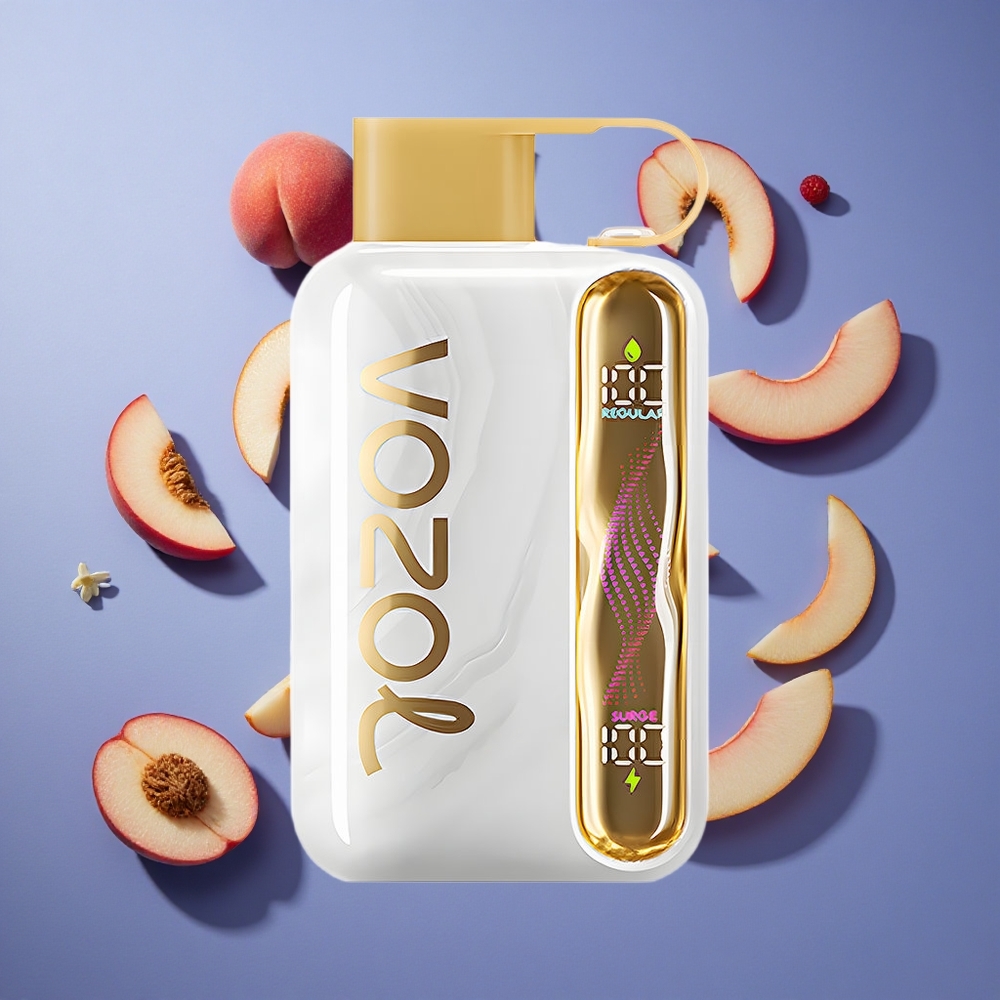 Pesca Bianca Lampone VOZOL STAR 40000 Puffs Tipo-C Italia vape