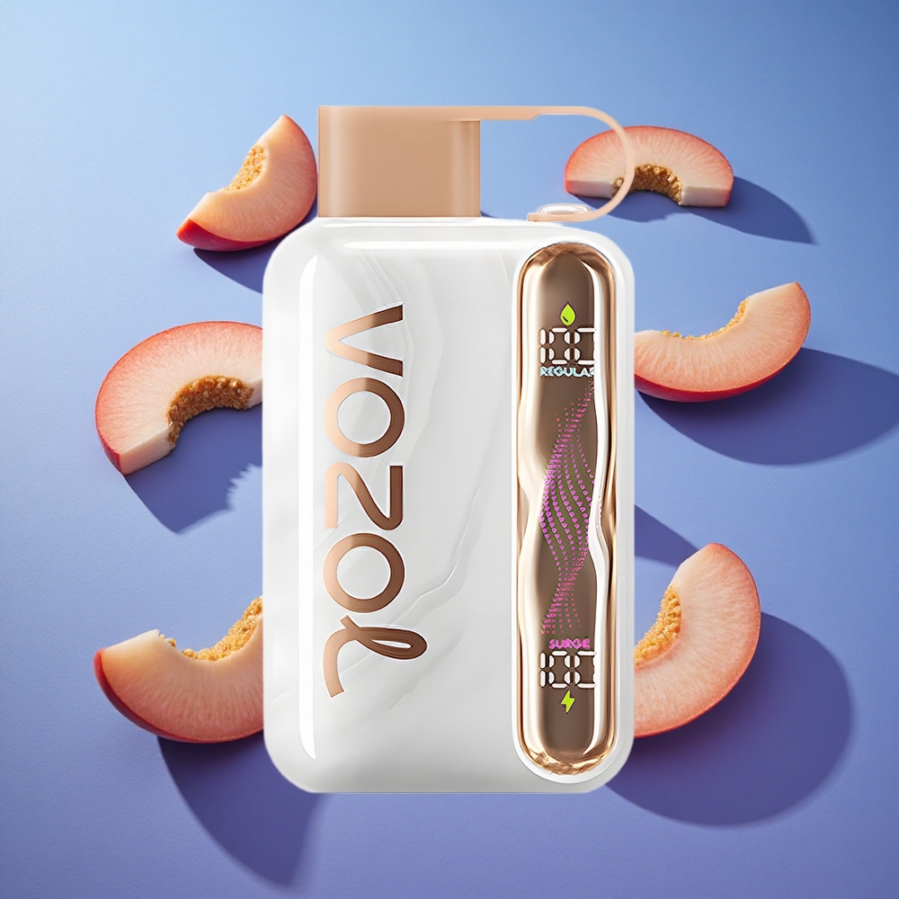 Pesca Ghiaccio VOZOL STAR 40000 Puffs Tipo-C Italia vape